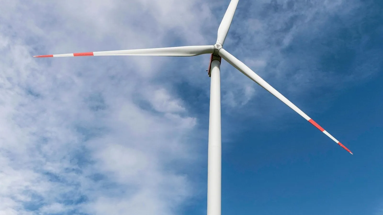 Wind turbine against a blue sky above a mustard field